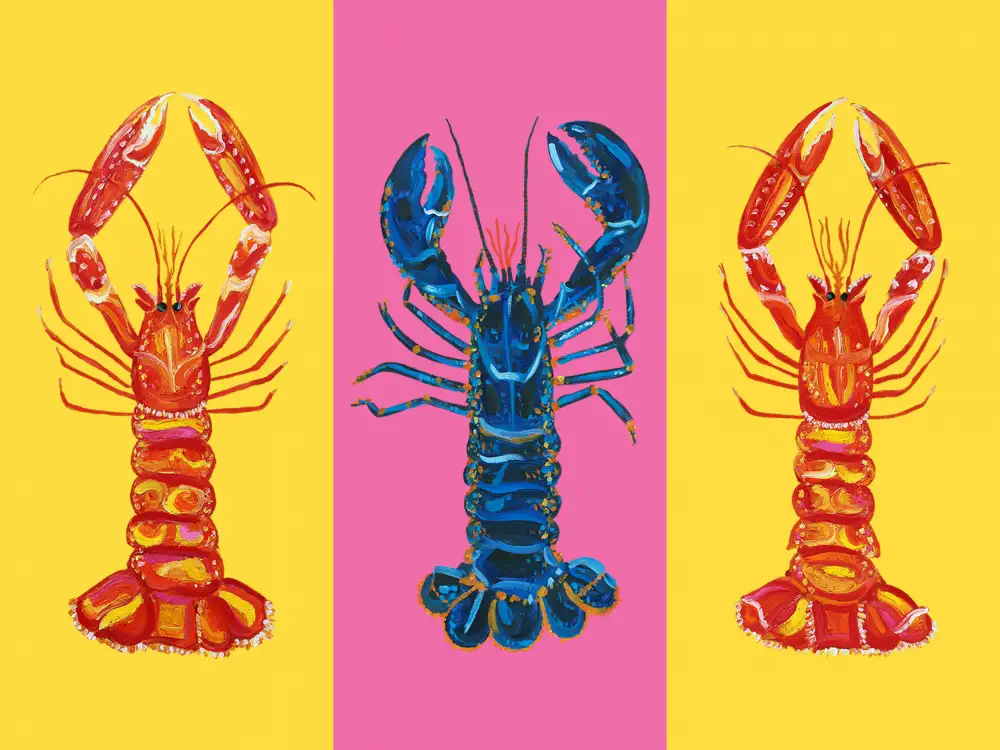 Straker, Alice: Homard Langoustines Pop Art 2