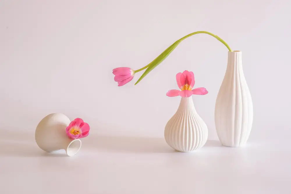 Sheng, Alice: Stillleben 76