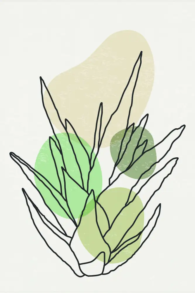 stanley, jay: Color Abstract Agave #1