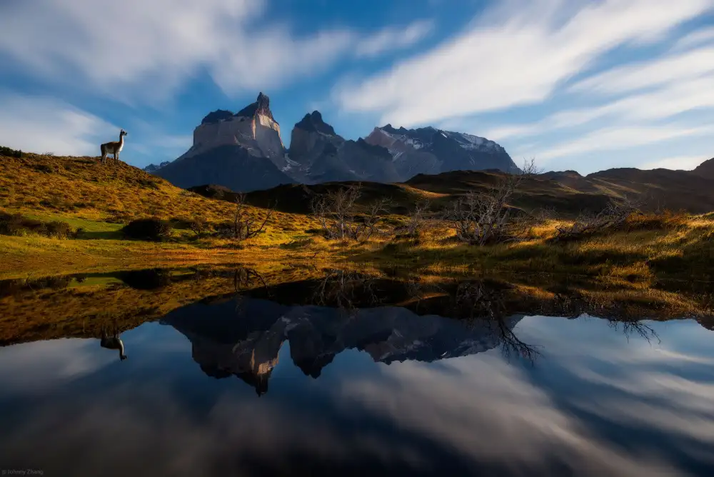 Zhang, Johnny: Buongiorno,Cuernos
