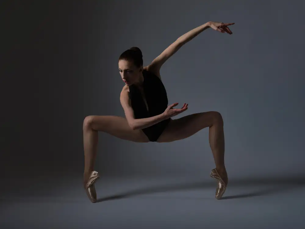 Zanna: Arte