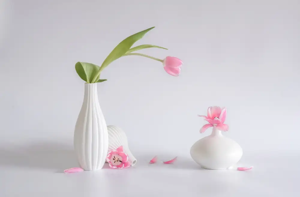 Sheng, Alice: Stillleben 80