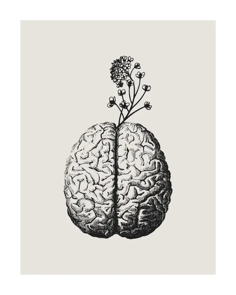 Cai, Beth: Floración cerebral