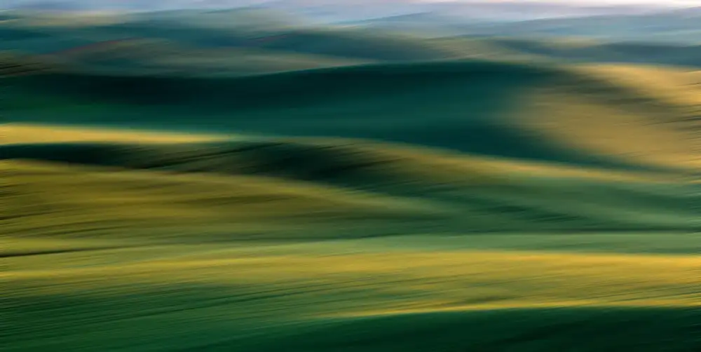 NanZ: Lo scenario di Palouse