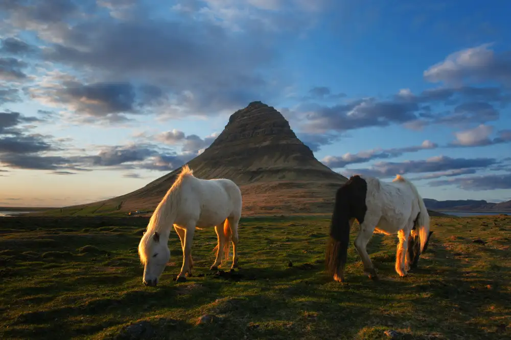 Kravanja, Jure: Montagna Kirkjufell