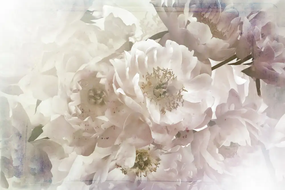 Kulik, Rafal: Ombre033fiore