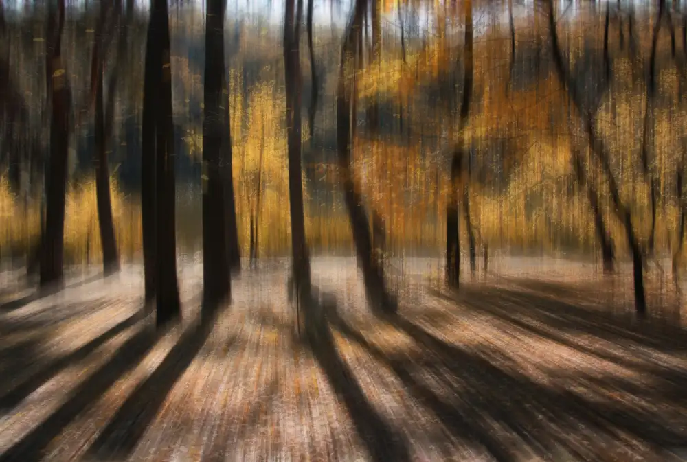 Kiyashko, Alexander: Calda giornata autunnale