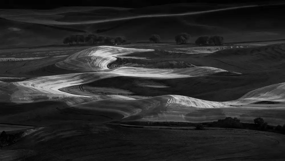NanZ: La vista di Palouse