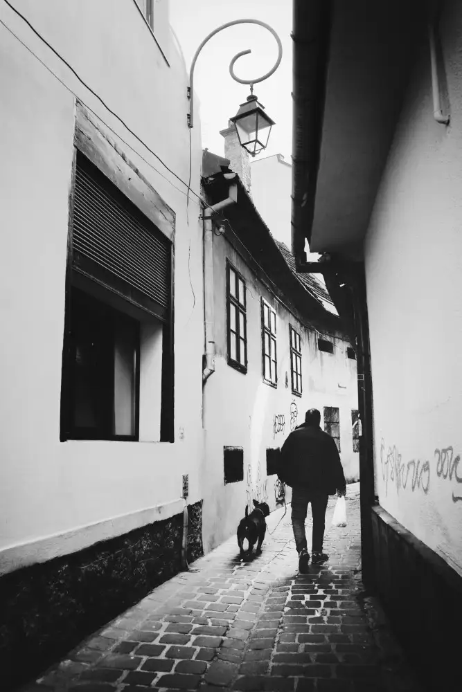 Elena, Raceala: Jít po ulici