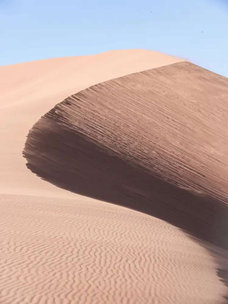 Clint, by Shot: Namib Drei
