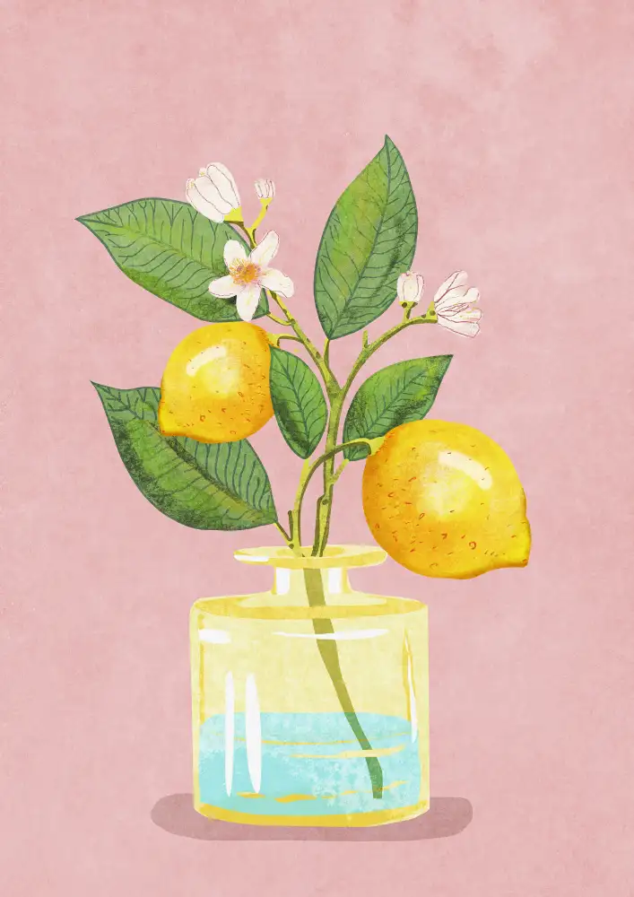 Oltmanns, Raissa: Manojo De Limón En Florero
