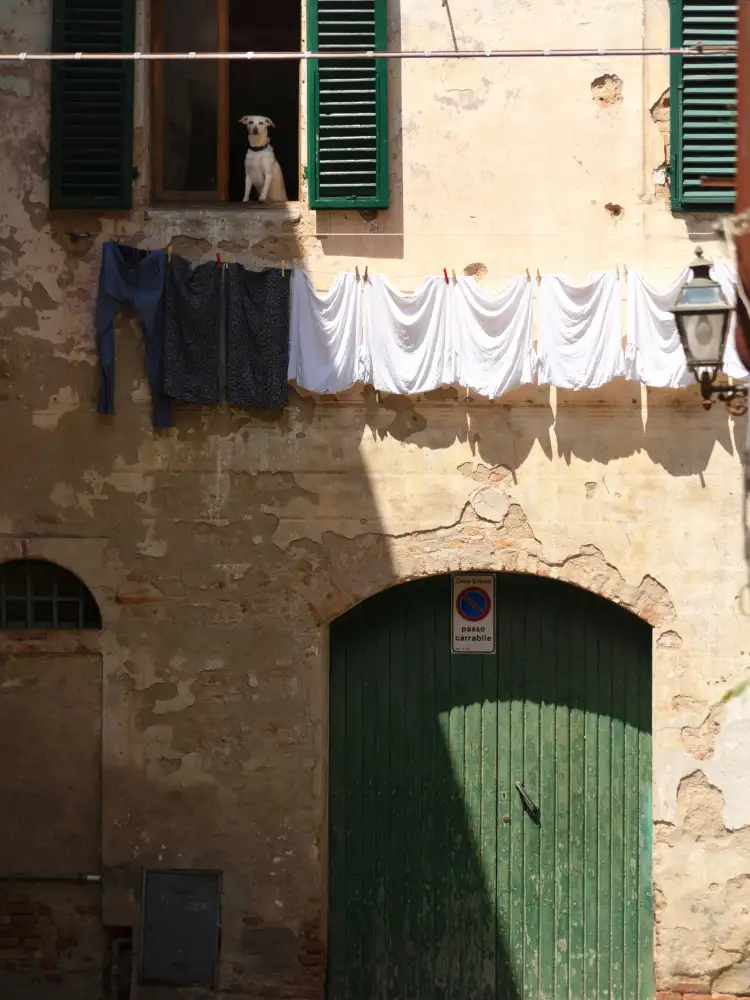 Latta, Della Massimo: Affacciati alla finestra