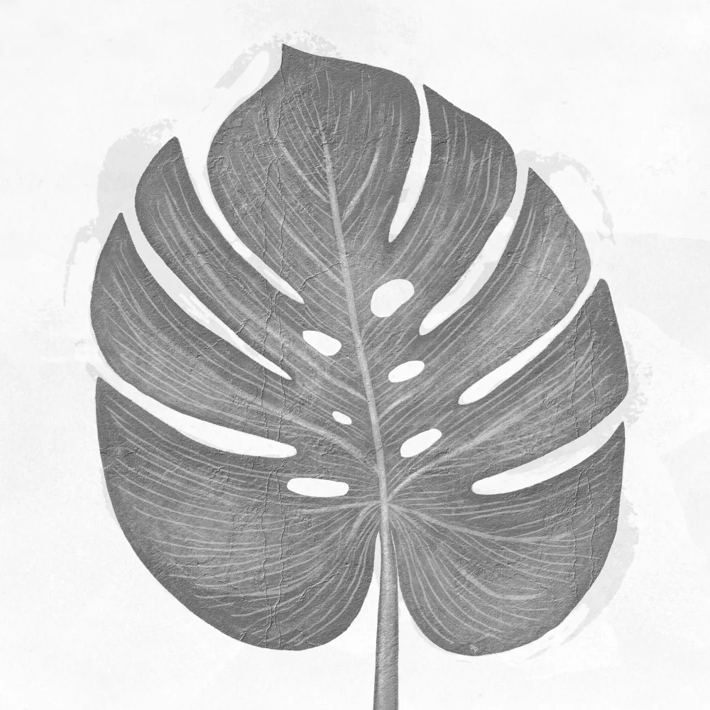 Martina: Feuille grise