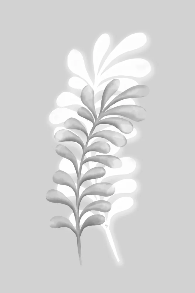 Martina: Grey Plants