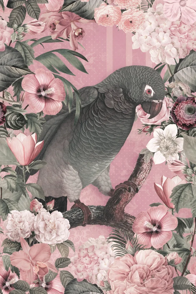 Haase, Andrea: Les Perroquets Paradise Garden 3 Rose Pastel