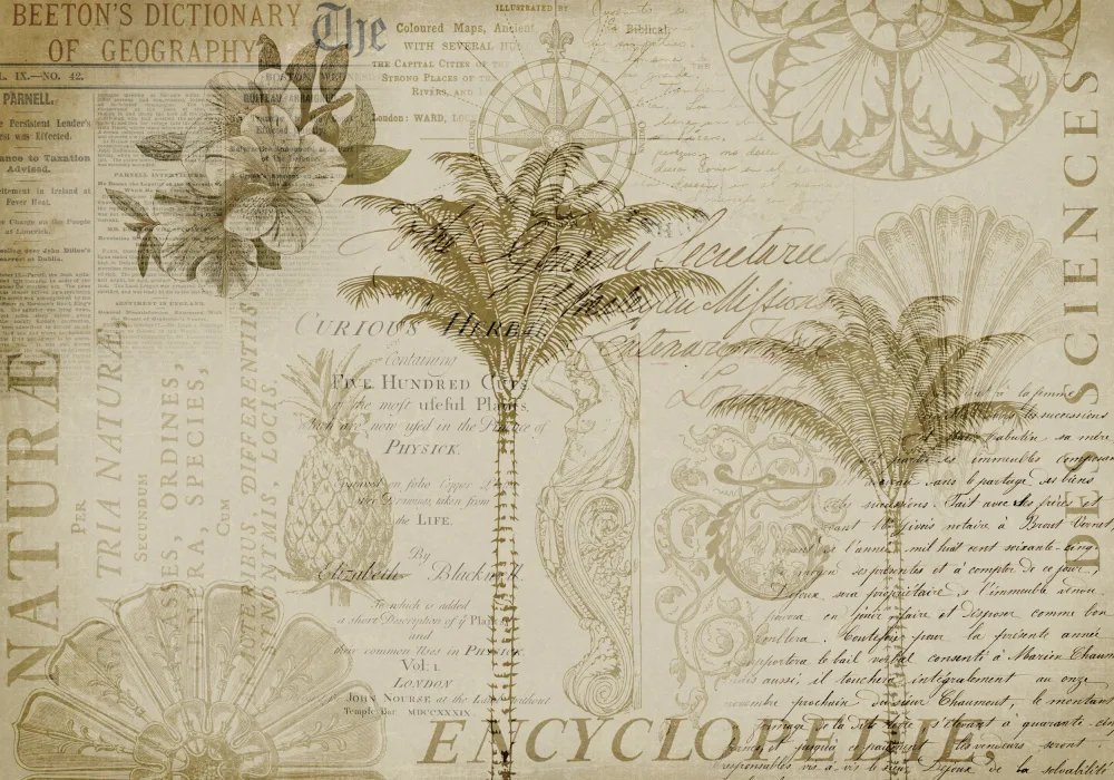 Haase, Andrea: Encyclopédie tropicale