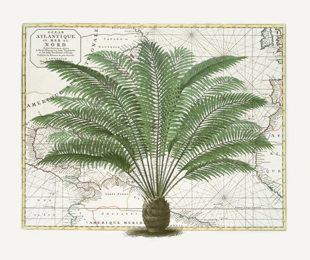 Haase, Andrea: Empire Tropical No5