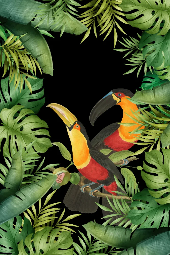 Haase, Andrea: Jungle avec des toucans