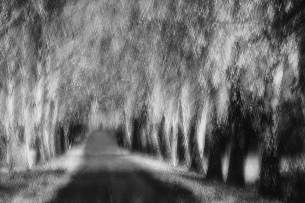 Hermann, Uschi: la ruelle