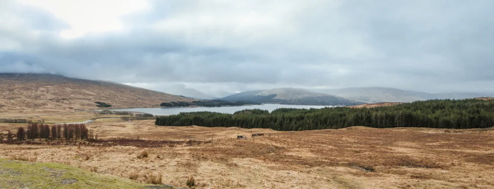Ambrose, Dahlia: Vue panoramique sur les Highlands écossaises