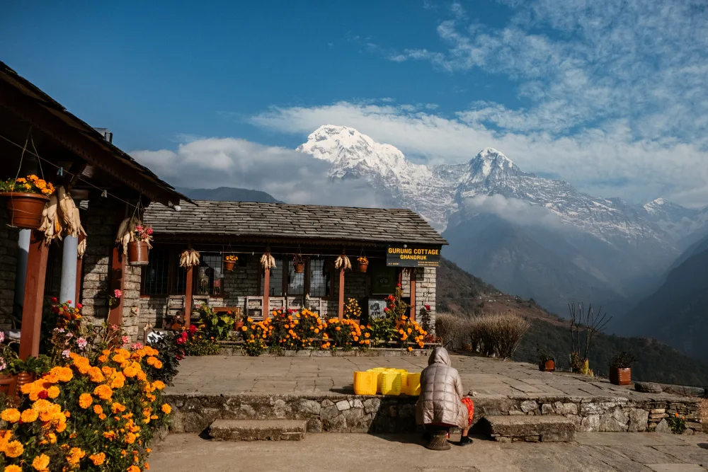 Ambrose, Dahlia: Vue de la chaîne de l'Annapurna depuis Ghandruk