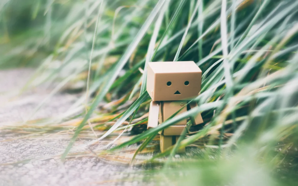 Ambrose, Dahlia: Danbo en promenade