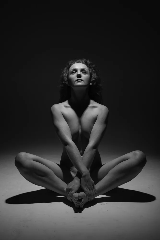 Meswani, Prashant: Plamen slonoviny