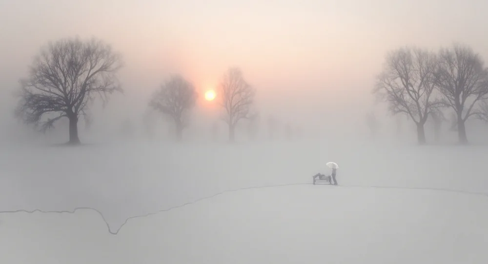 Fu, Molly: Nella nebbia