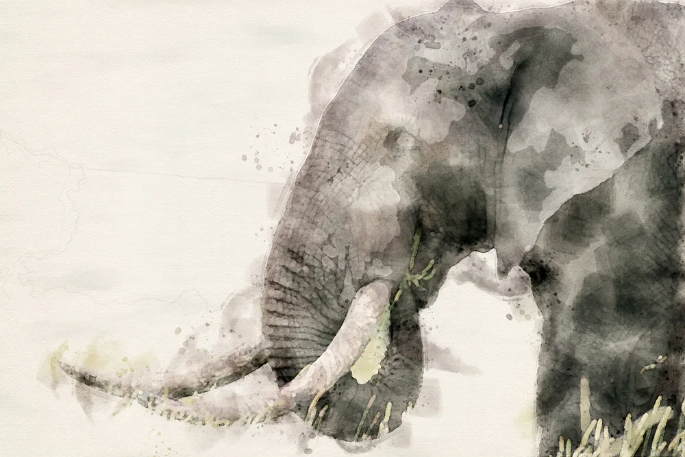 Toit, Du Arno: Arte astratta dell'acquerello dell'elefante africano