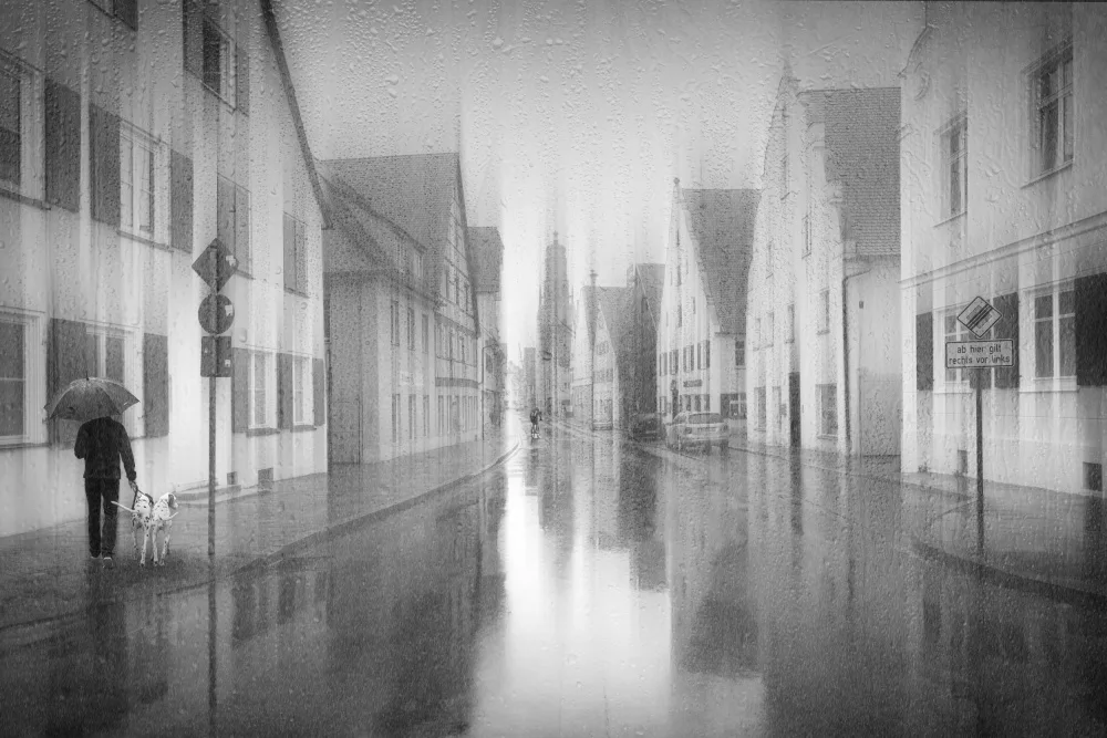 Schleicher-Schwarz, Roswitha: Hundewetter