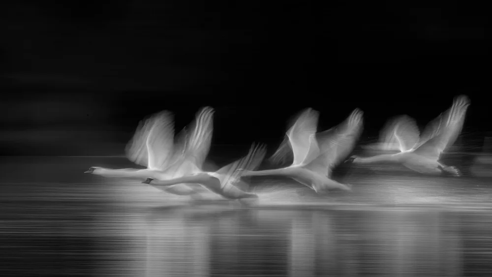 Zhang, Joan: Zum Himmel fliegen