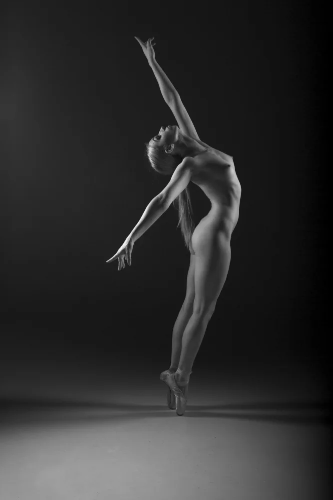 nudist ballet Prashant Meswani: Art Nude Ballet | Nude | Photographs | Fine art prints,  reproductions, print on demand, framing