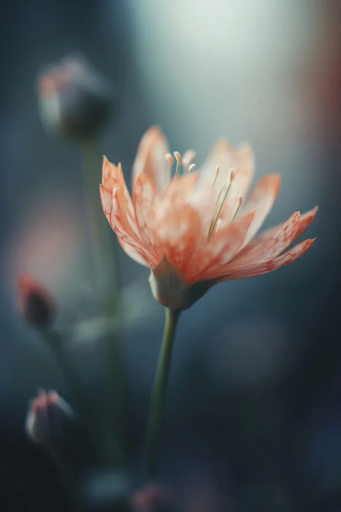 Treechild: Bellezza arancione