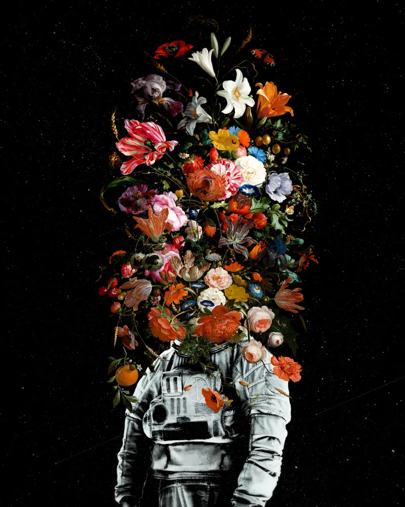 Minoza, Francis: Pleine floraison