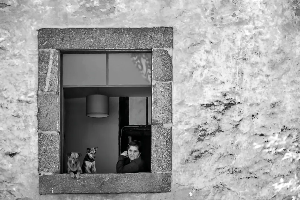 Silva, Miguel: Das Fenster.