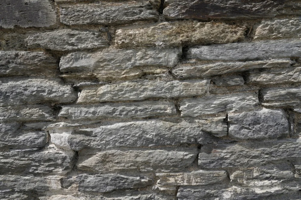 Paksoylu, Bilge: Surface Tex W10