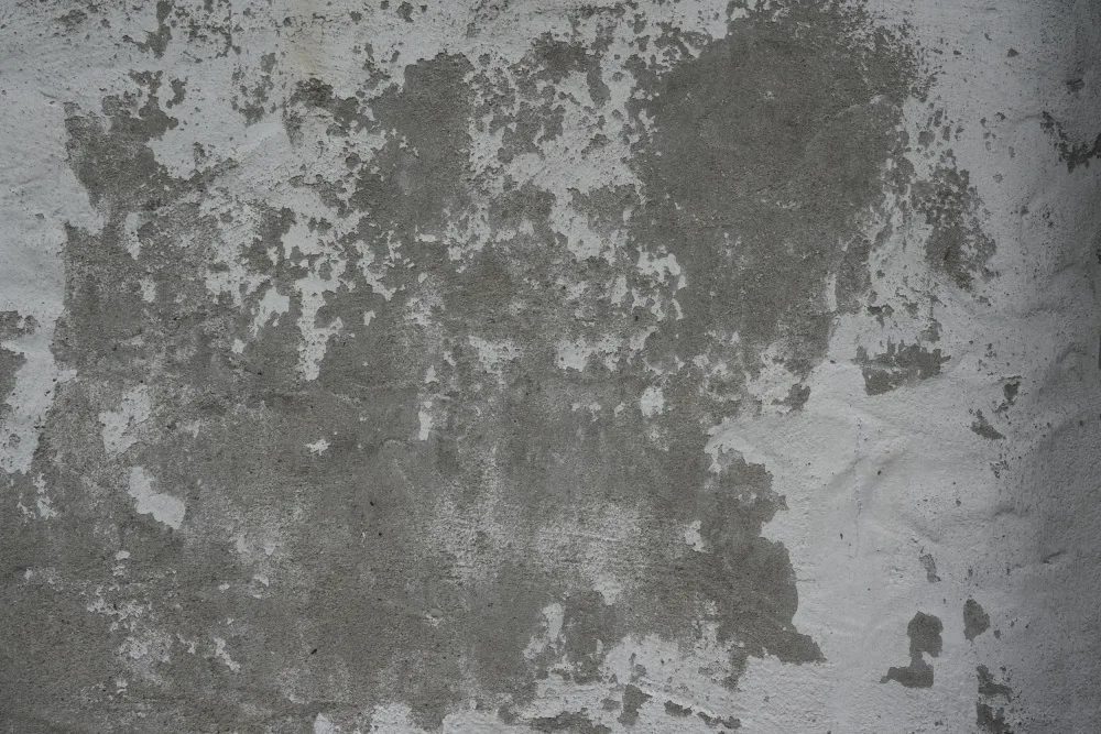 Paksoylu, Bilge: Surface Tex W24