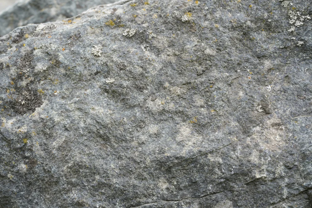 Paksoylu, Bilge: Surface Tex S6