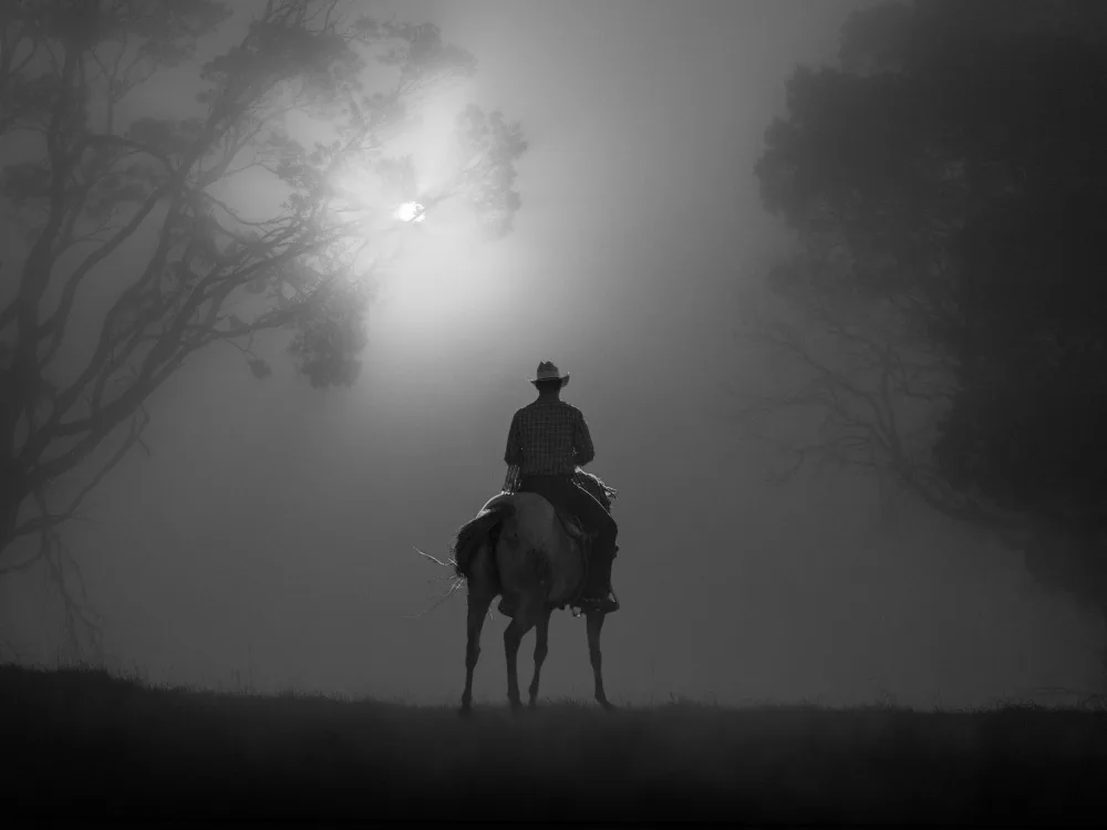 Ma, Frank: Cavalcando nella nebbia dell'alba