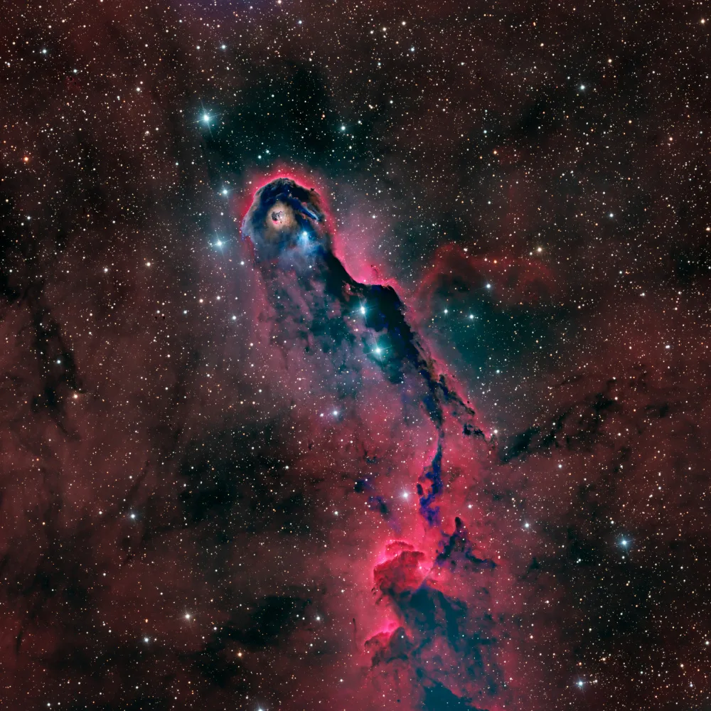 Chander, Vikas: The Elephant Trunk Nebula