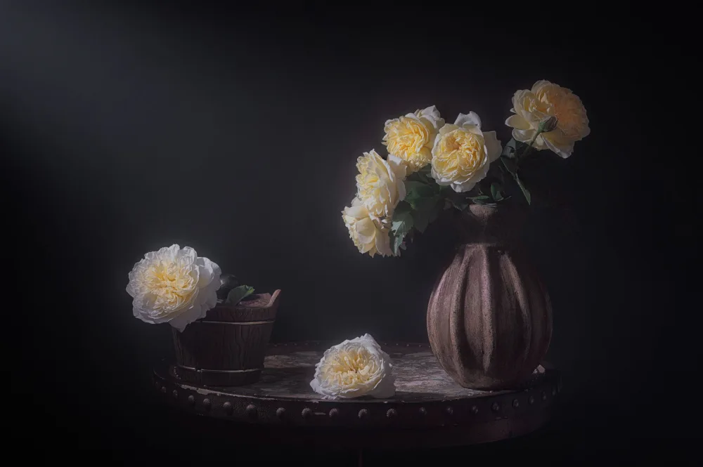 Jacobs, Lydia: Una rosa bastante luchadora