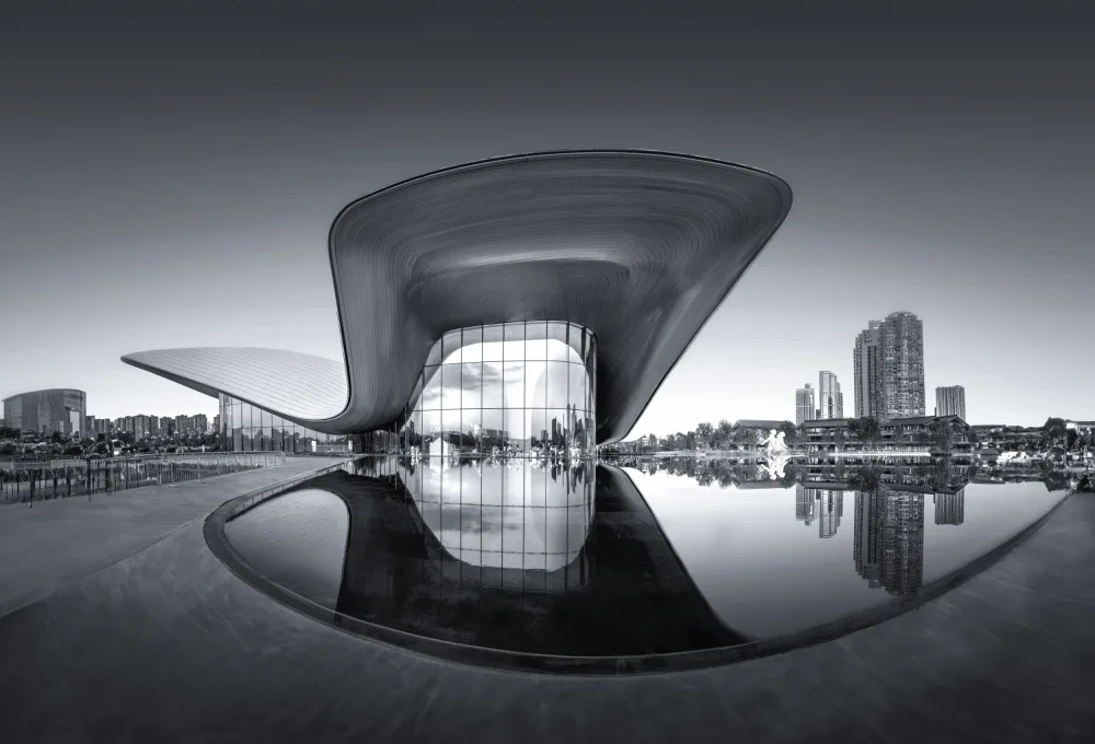 Wang, Catherine: Museo di Arte Contemporanea di Chengdu,Cina