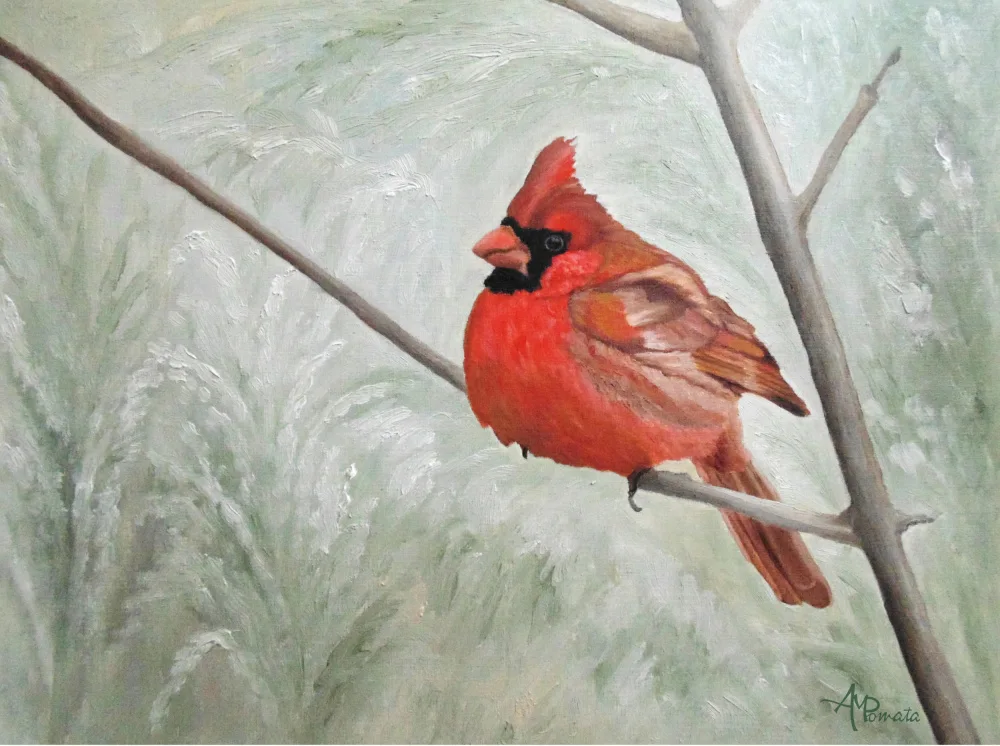 Pomata, M. Angeles: Winter Cardinal