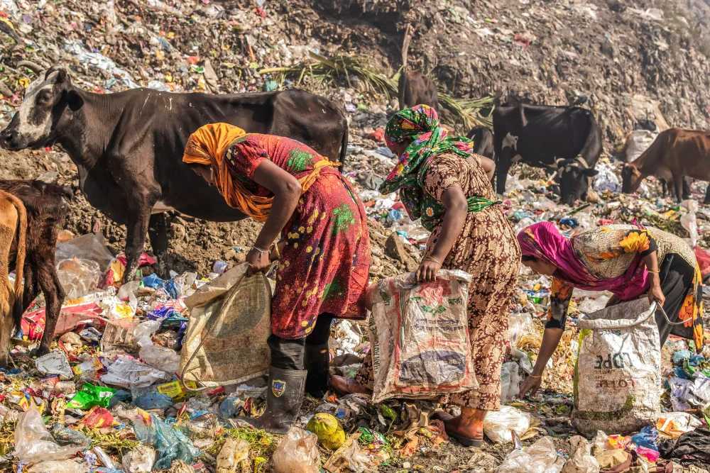 Kucharova, Radana: Campo di spazzatura di Cittagong
