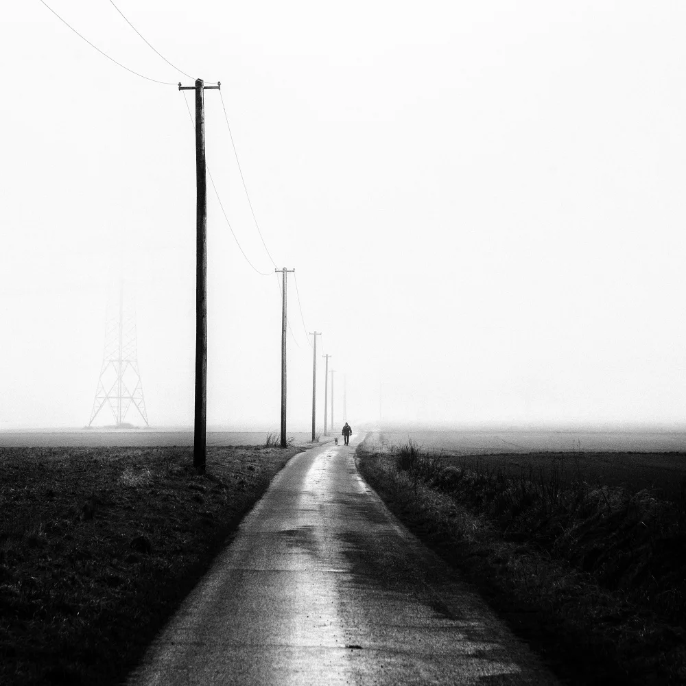 Kuavi, Robert: Misty Morning V