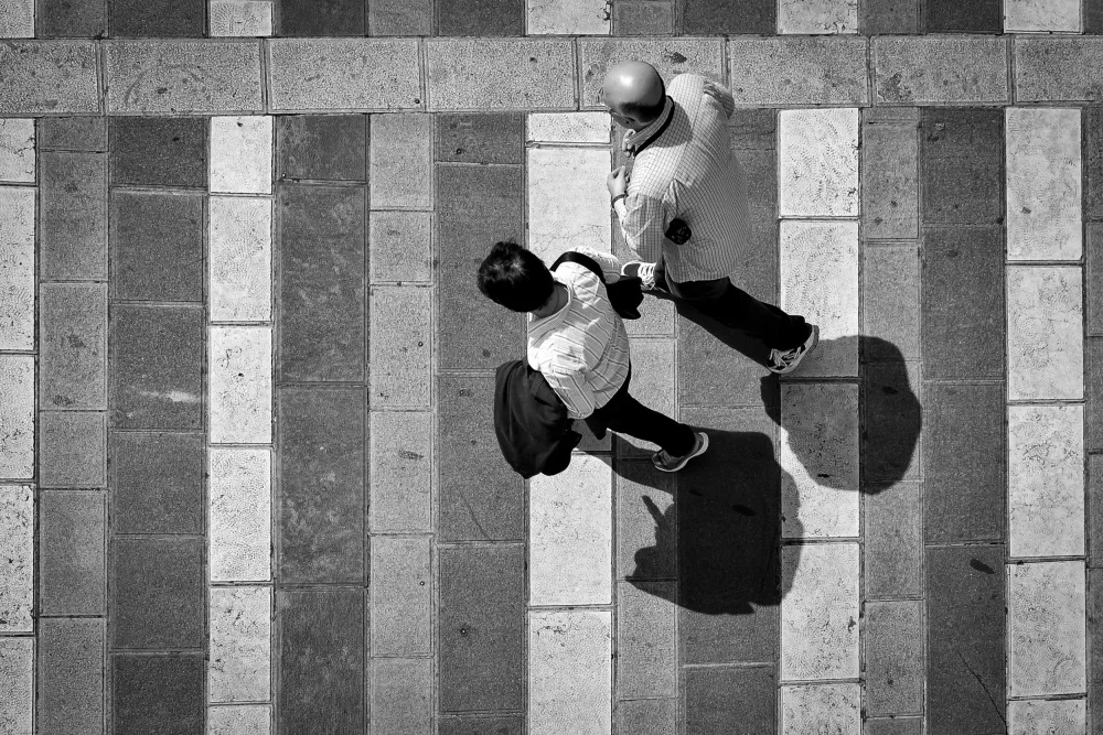 Soffritti, Giuseppe: Linee e quadrati