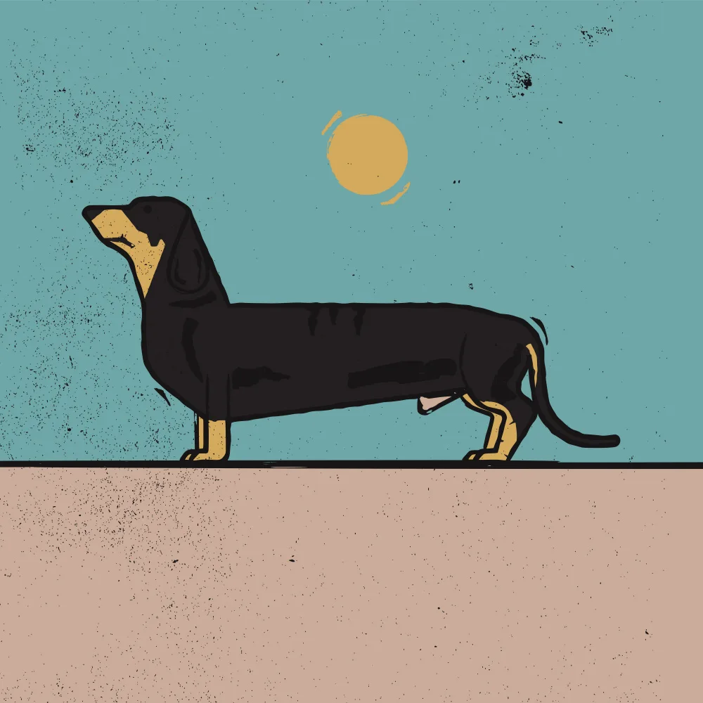 Art, Grasp Vision: Perro tejonero