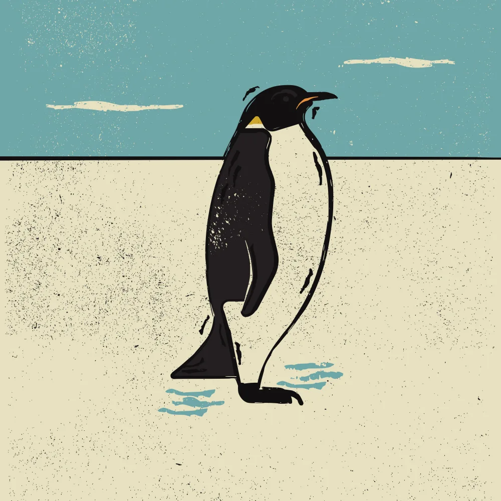 Art, Grasp Vision: Pingüino
