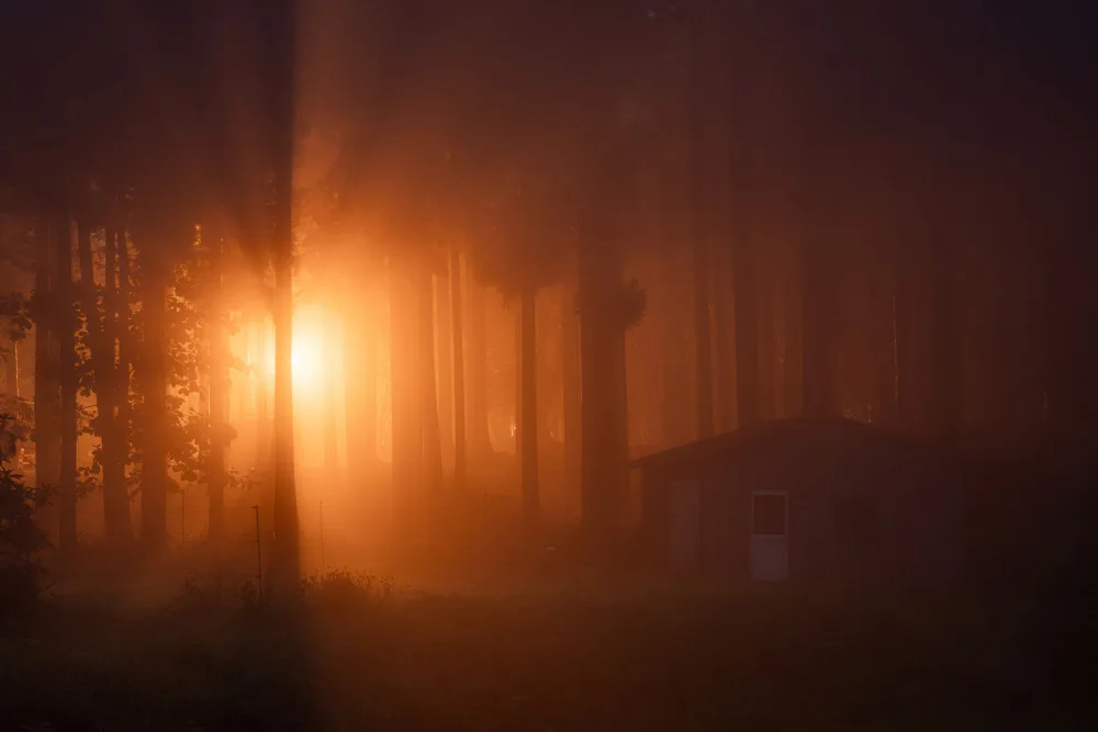 Ikeshita, Hiroaki: Licht im Nebel