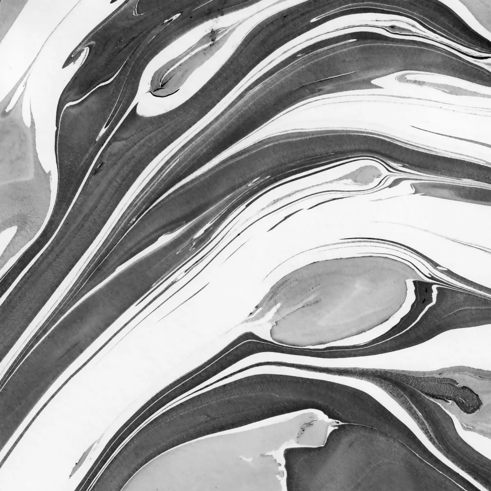 amini54: Ink Marbling Black and White 02